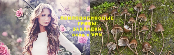 мет Богданович